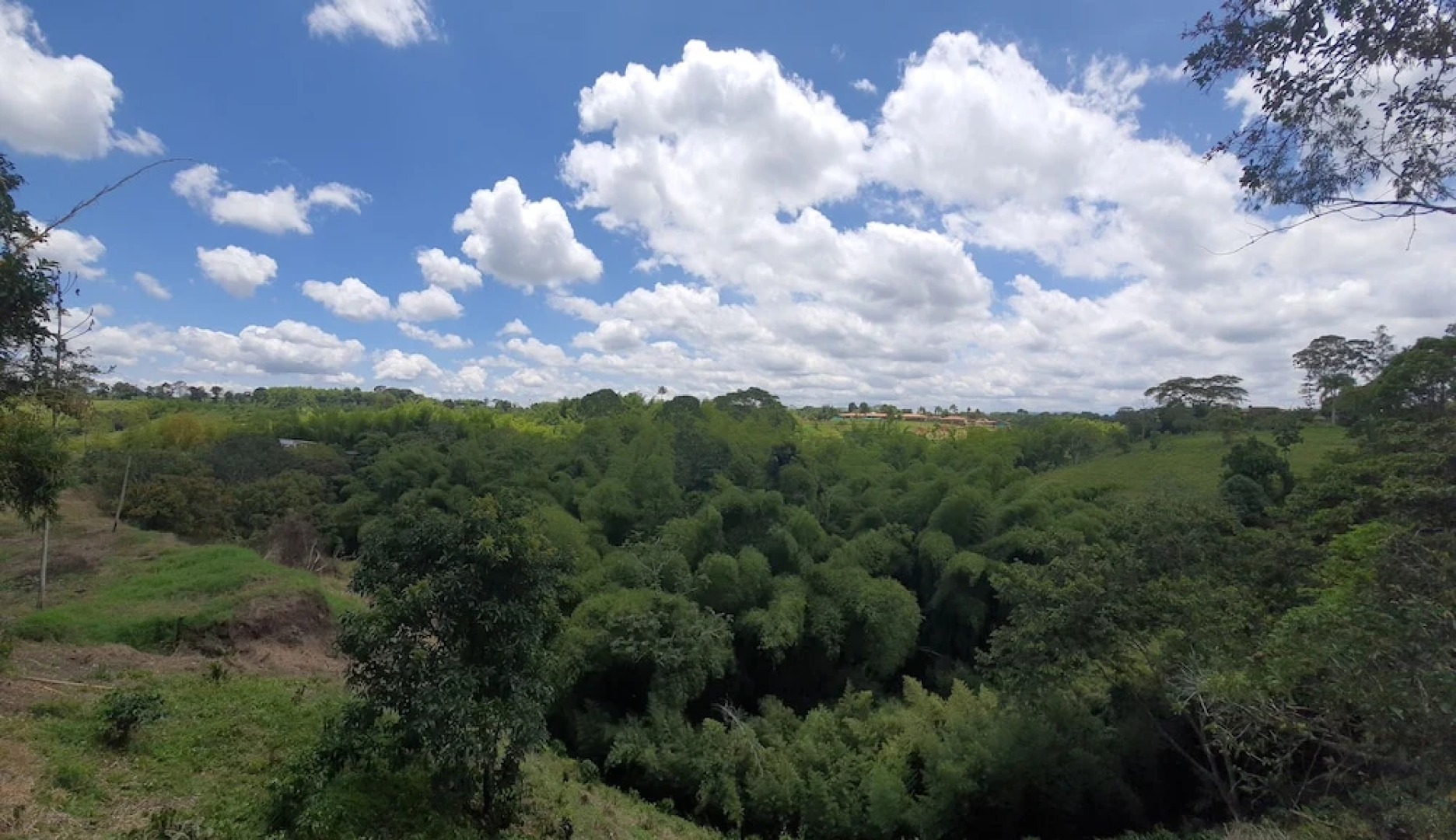 Quindio Close To Quimbaya