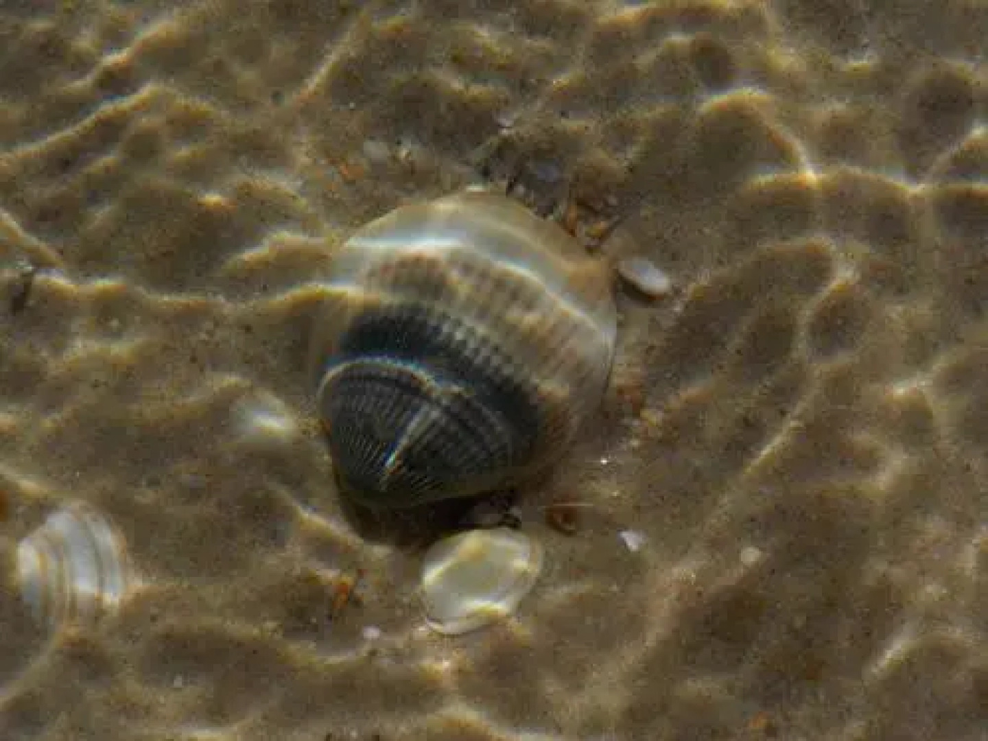 Villa vista mar e piscina