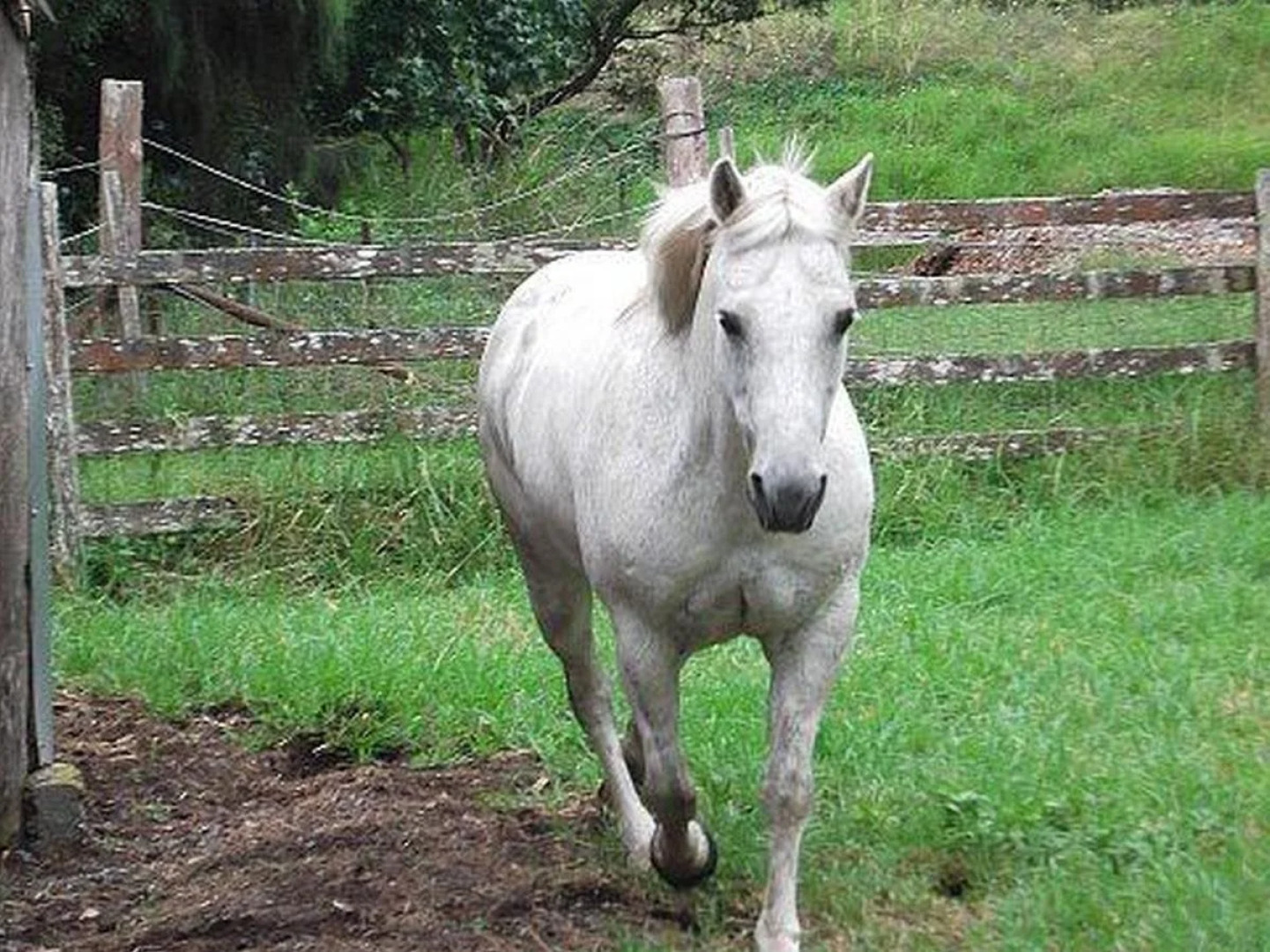 Honeycomb Valley Farm