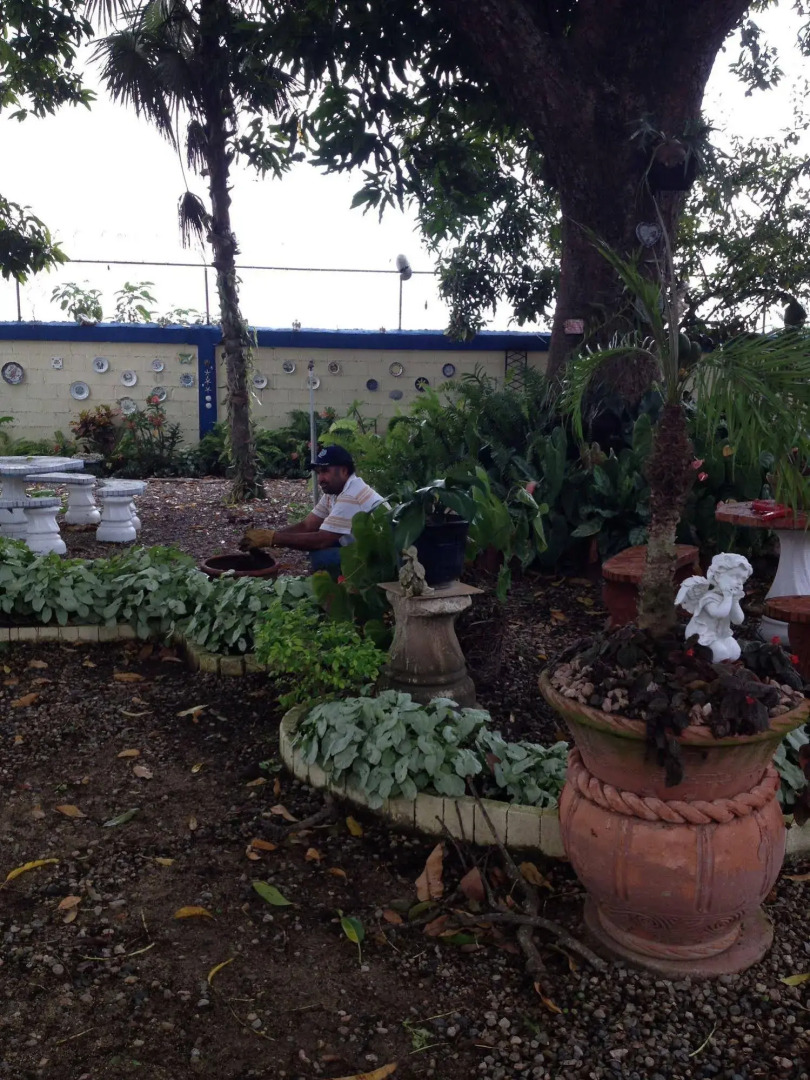 Sana El Jardin Secreto