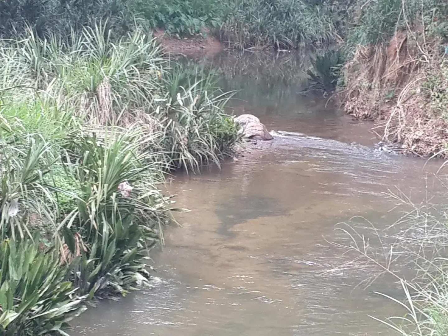 Deniyaya Guest House