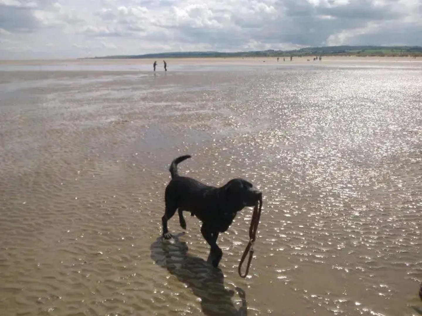 Broncoed Uchaf Country Guest House