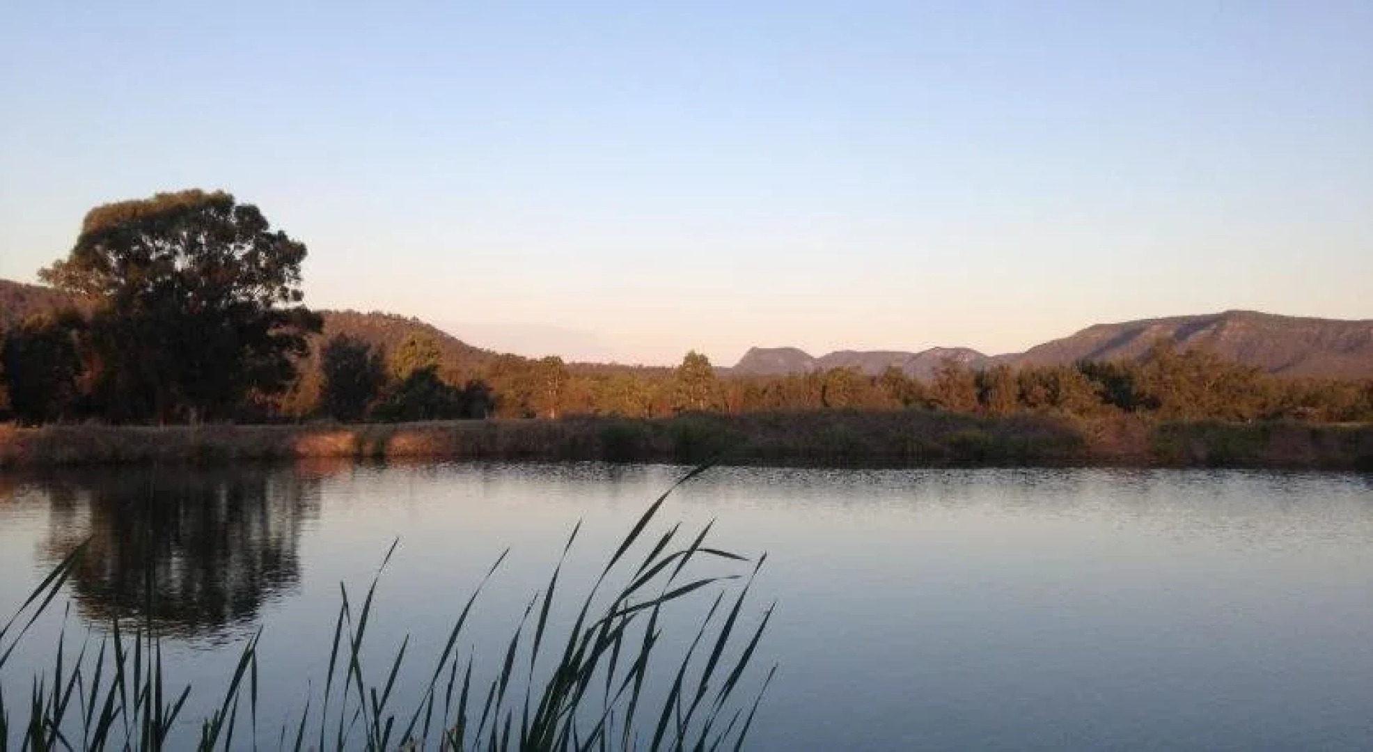 The Wellness Farm Broke