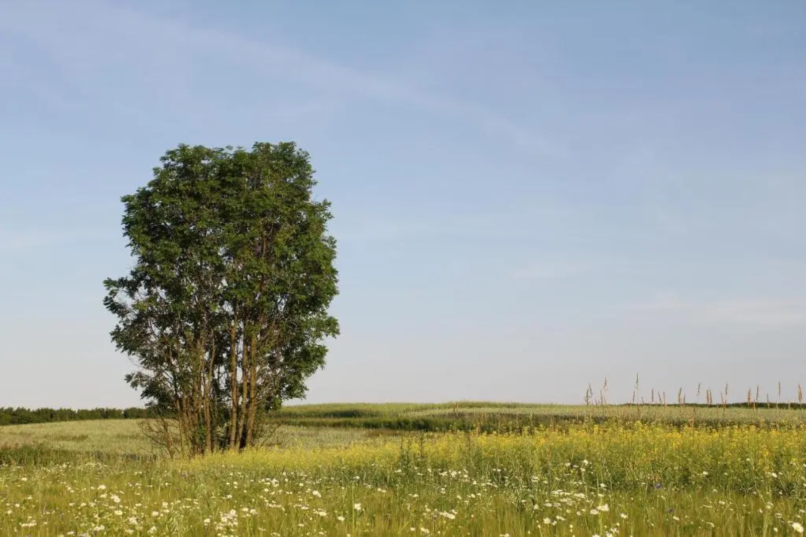 Agroturystyka Lipscy