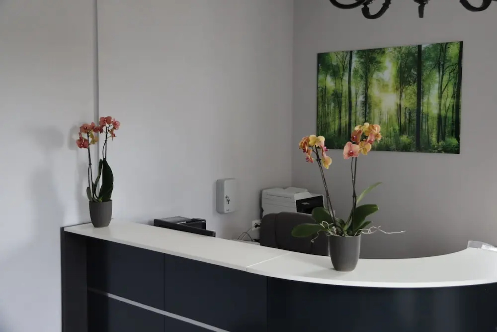 Villa Kopp - Das Gästehaus