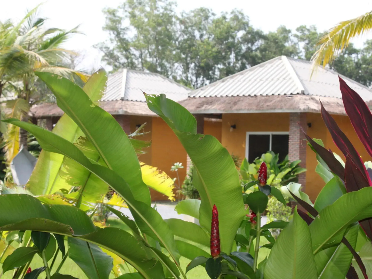 The Park Drive-Thru Check-In Resort