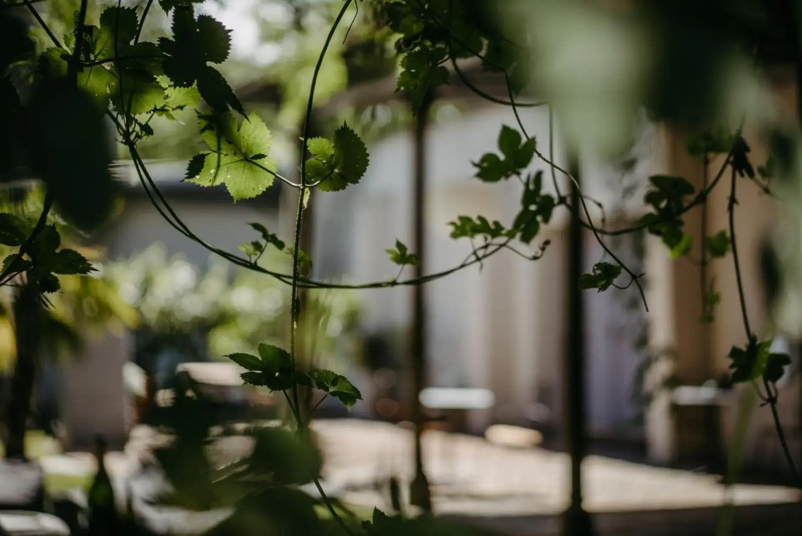 Turm am Schlosspark Eisenstadt