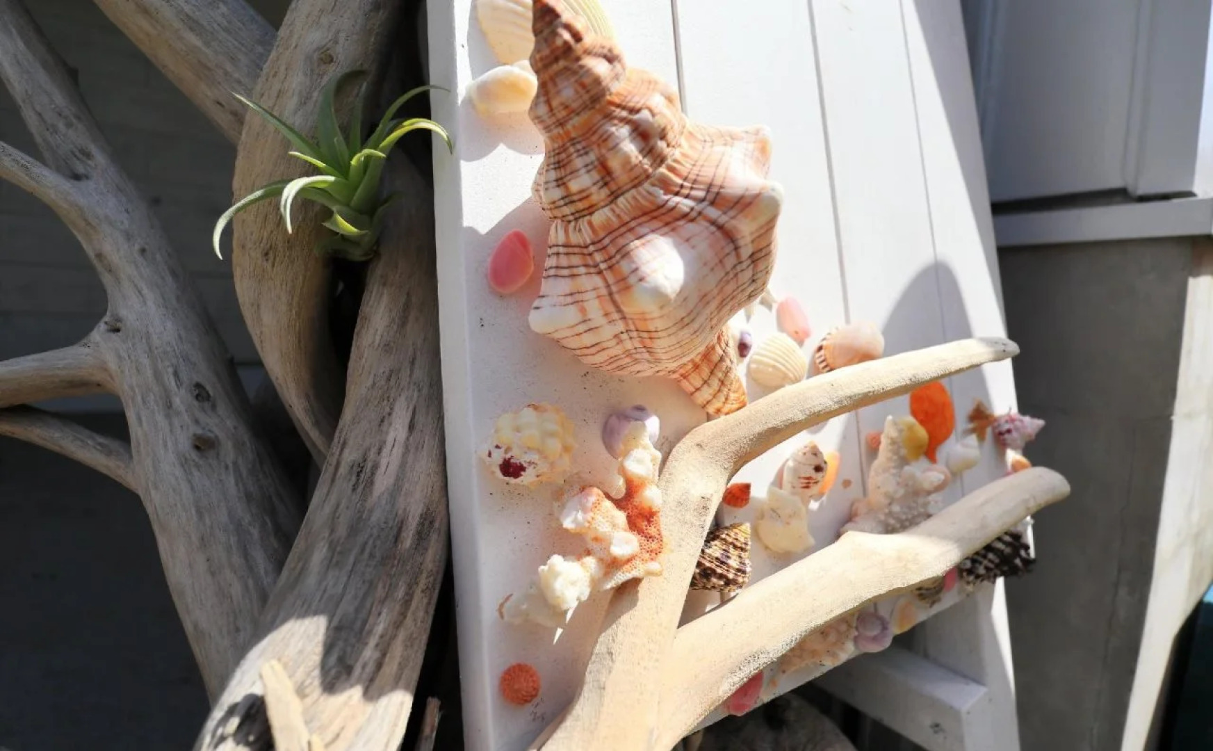 Enoshima Guest House 134