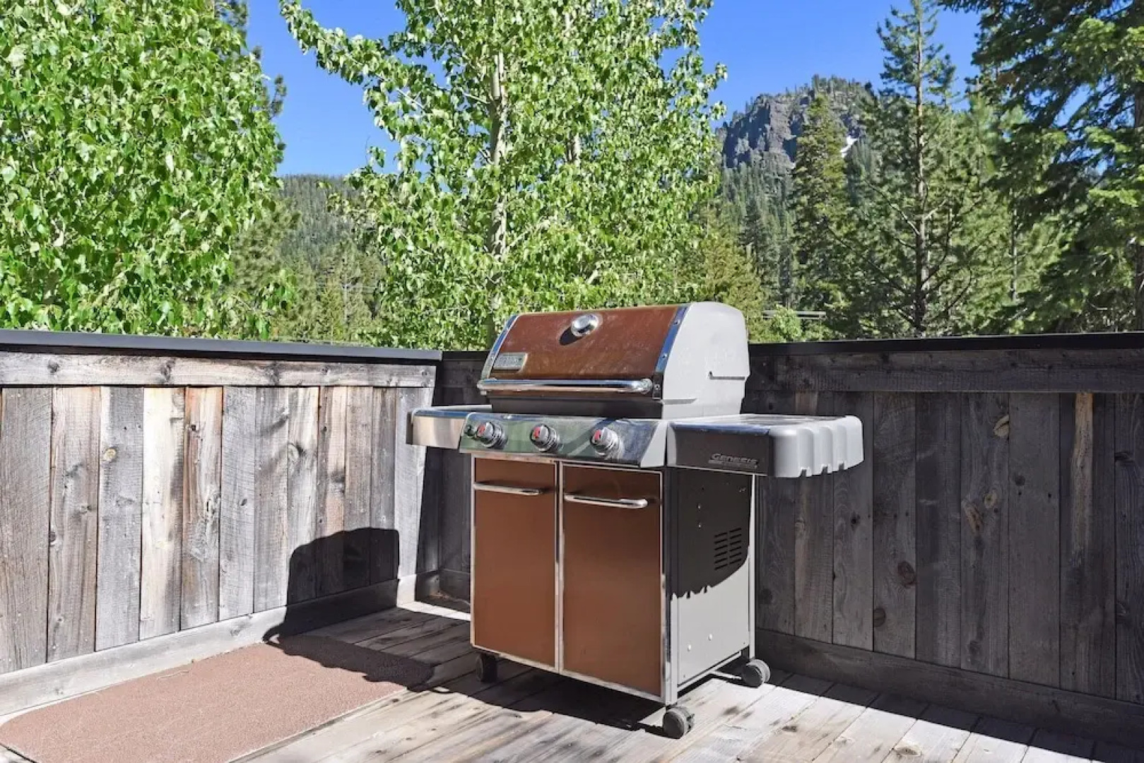 Alpine Meadows Chalet