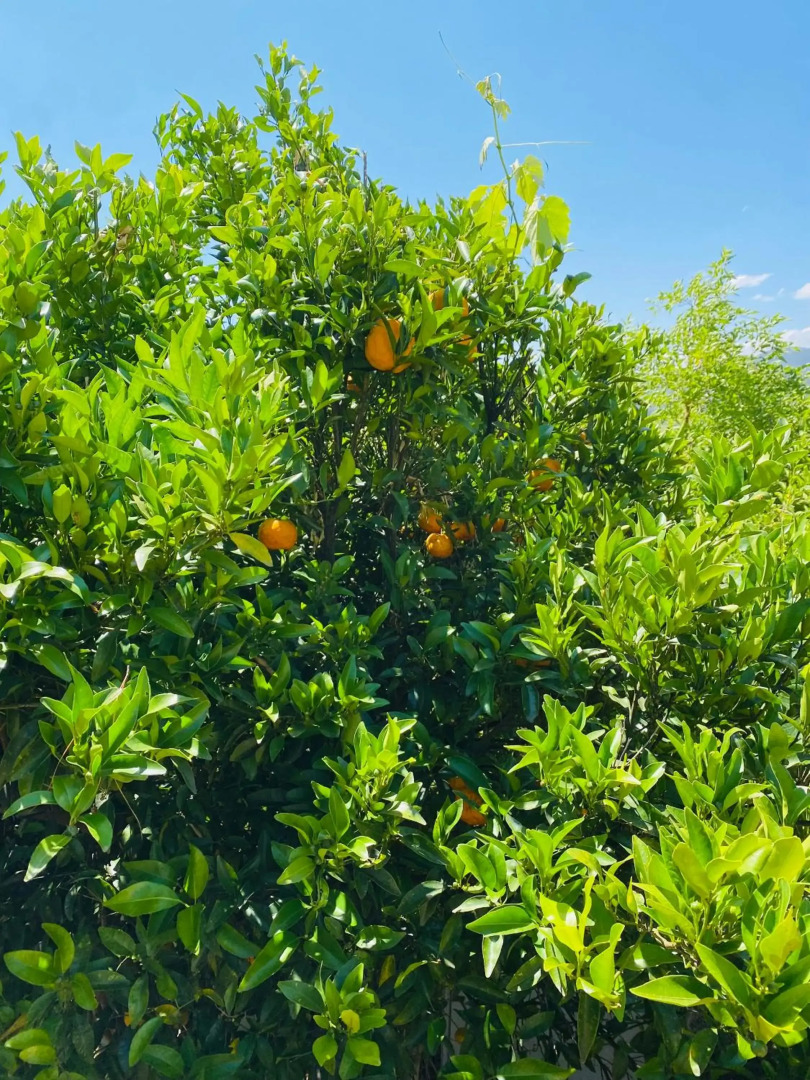 Buffalo River Retreat