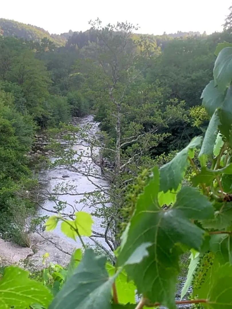 Petit Coin de Paradis