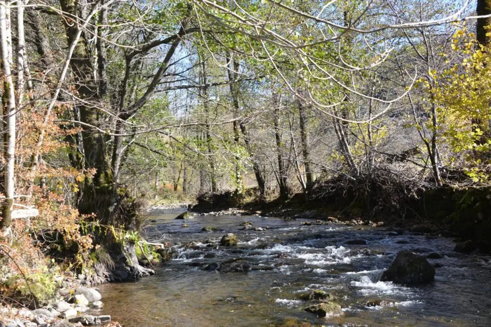 Domaine de la Jordanne - B&B