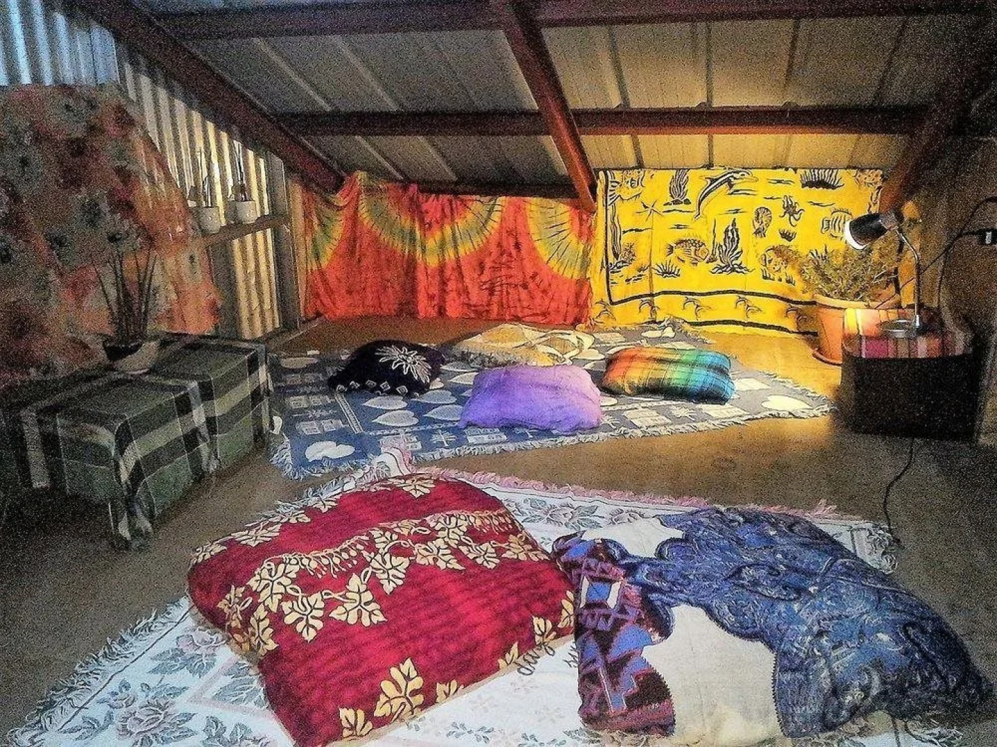 Tribuhaus Backpackers Inn