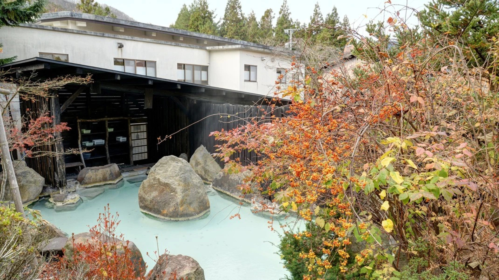 Nakanosawa Onsen Iroriyu no Yado Osakaya