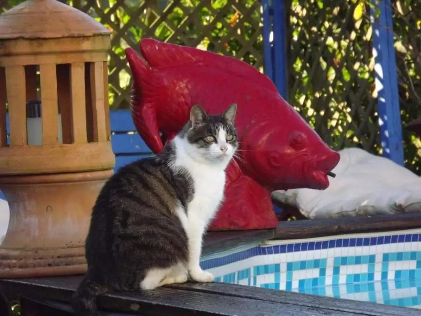 Chambres d'hôtes La Maison Bleue