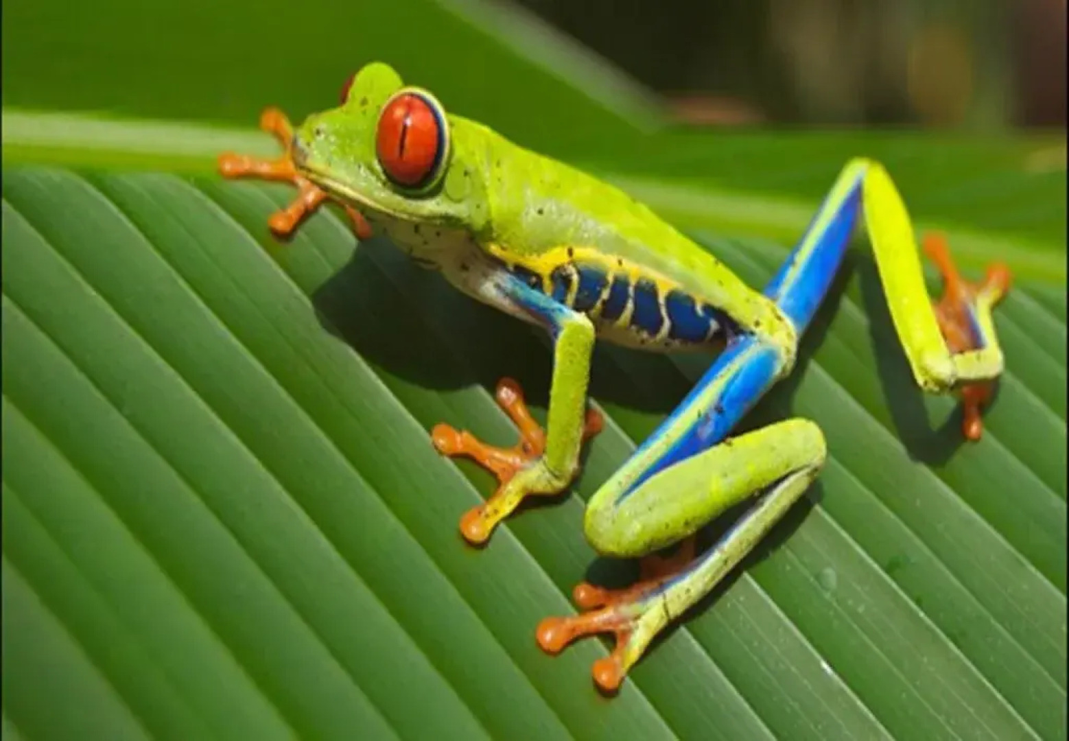 Wild Woods Spa & Resort