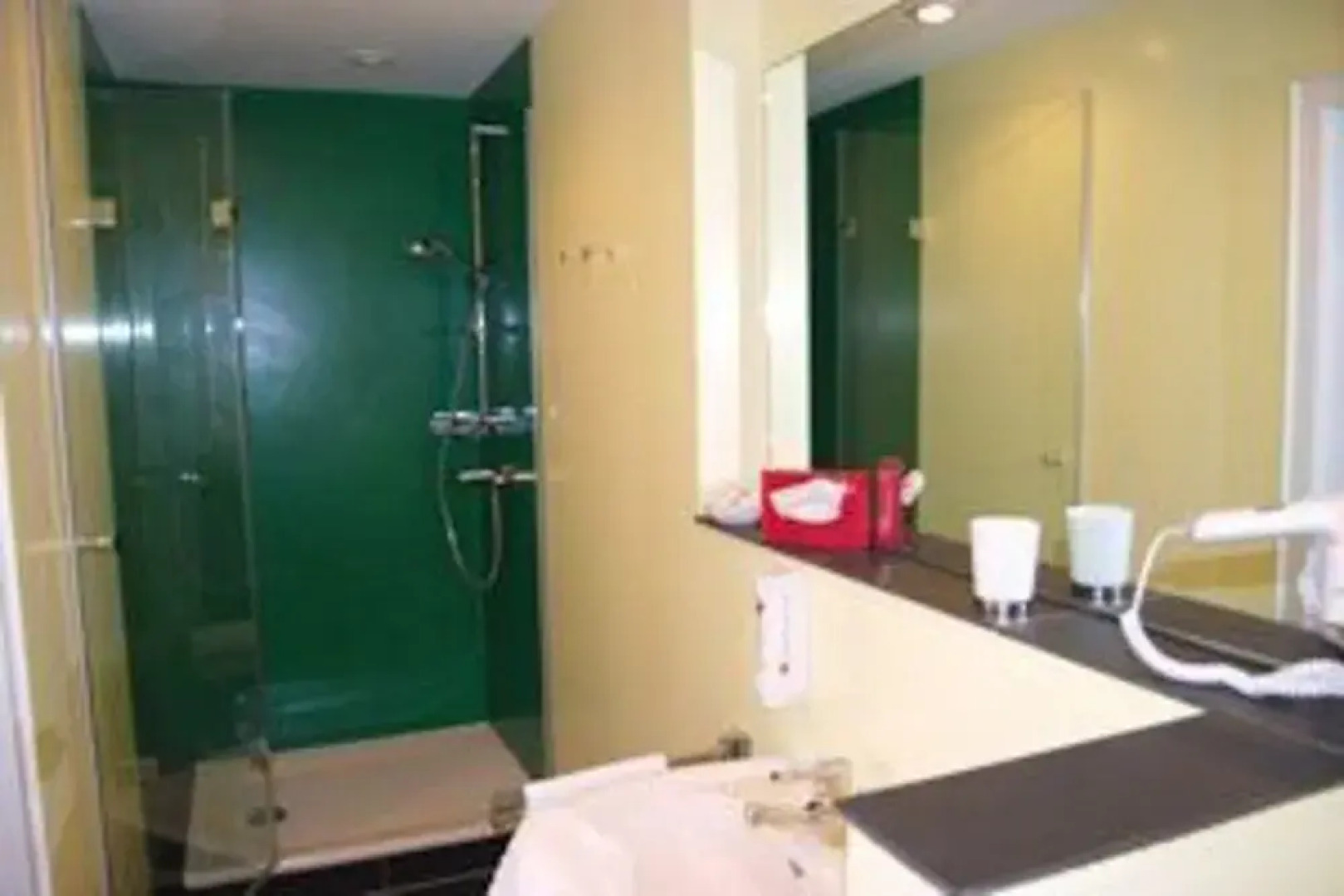 Ringhotel Aparthotel Badblick garni