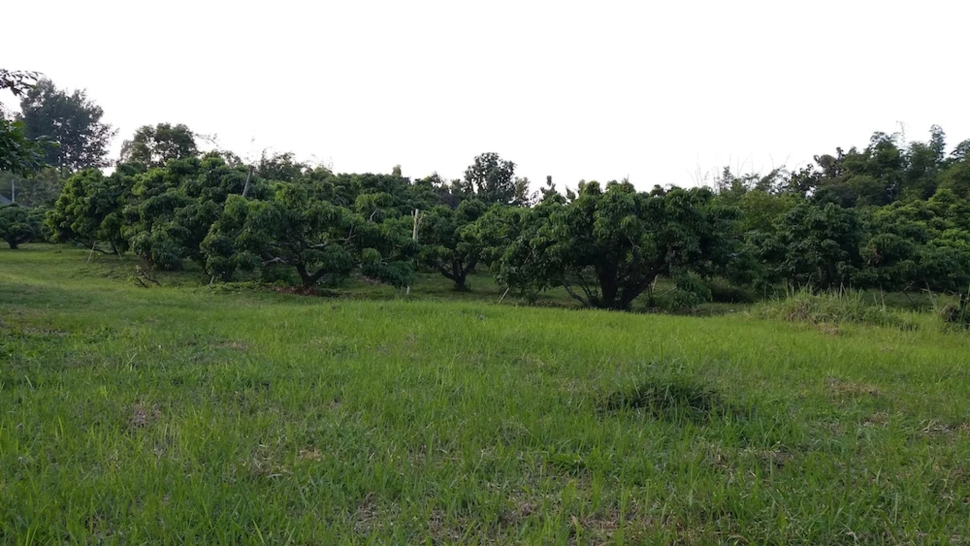 Baan Saun Homestay by Lamyai Khunmae