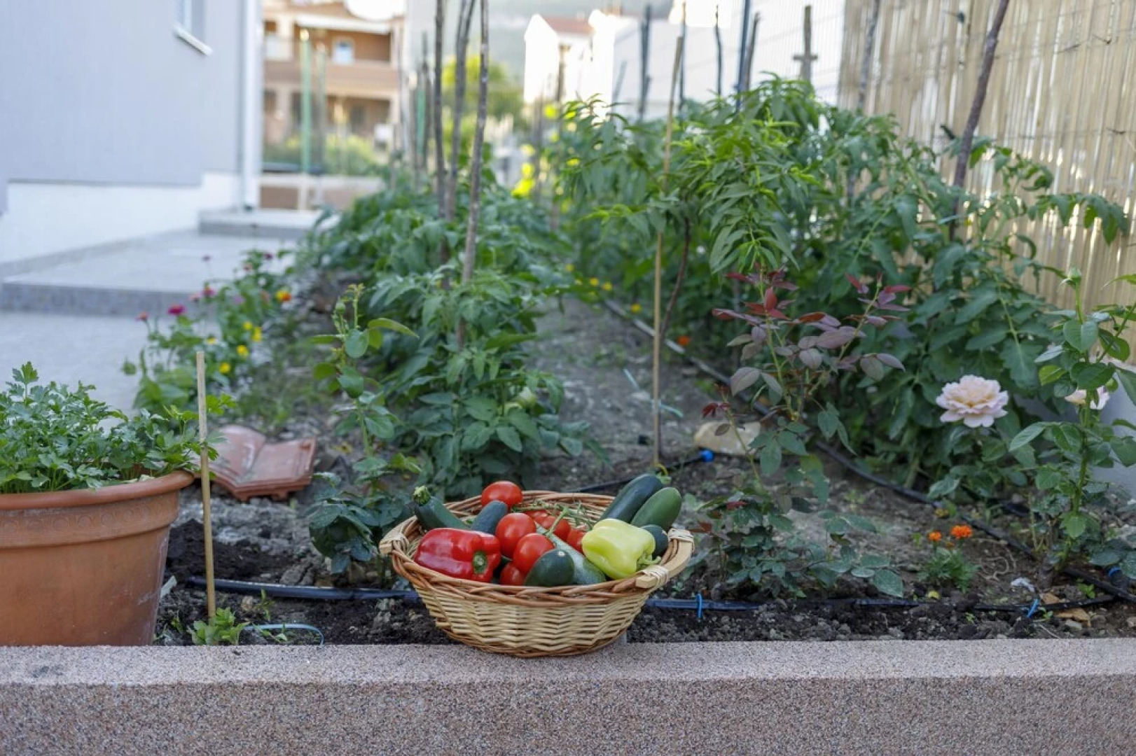 Luxury Villa Petra near Split