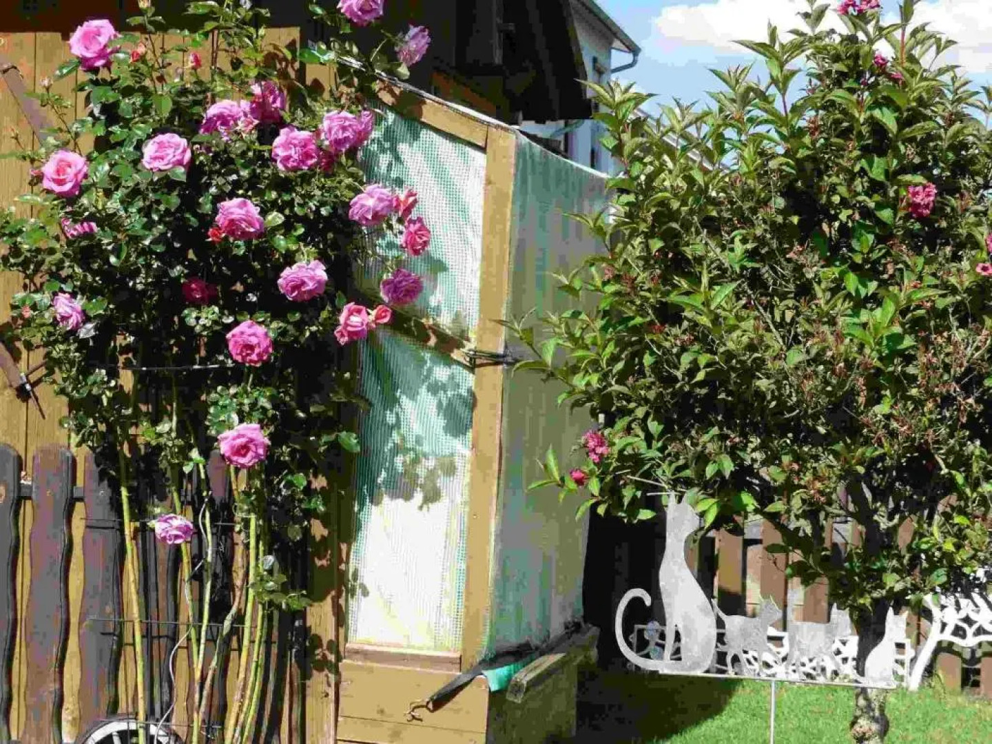 Ferienwohnung Mohnblume