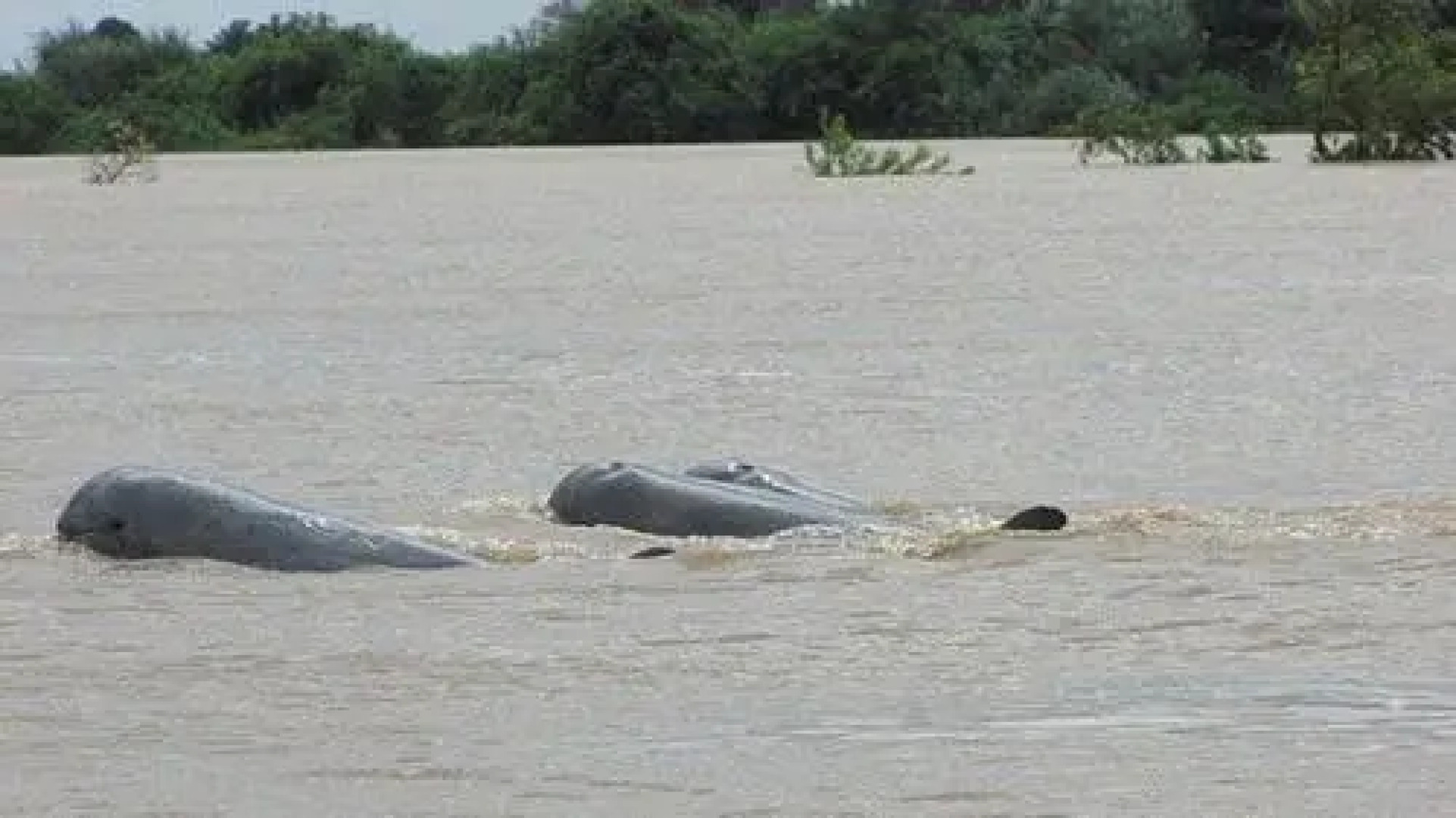 Savet Phom Tmey Guesthouse