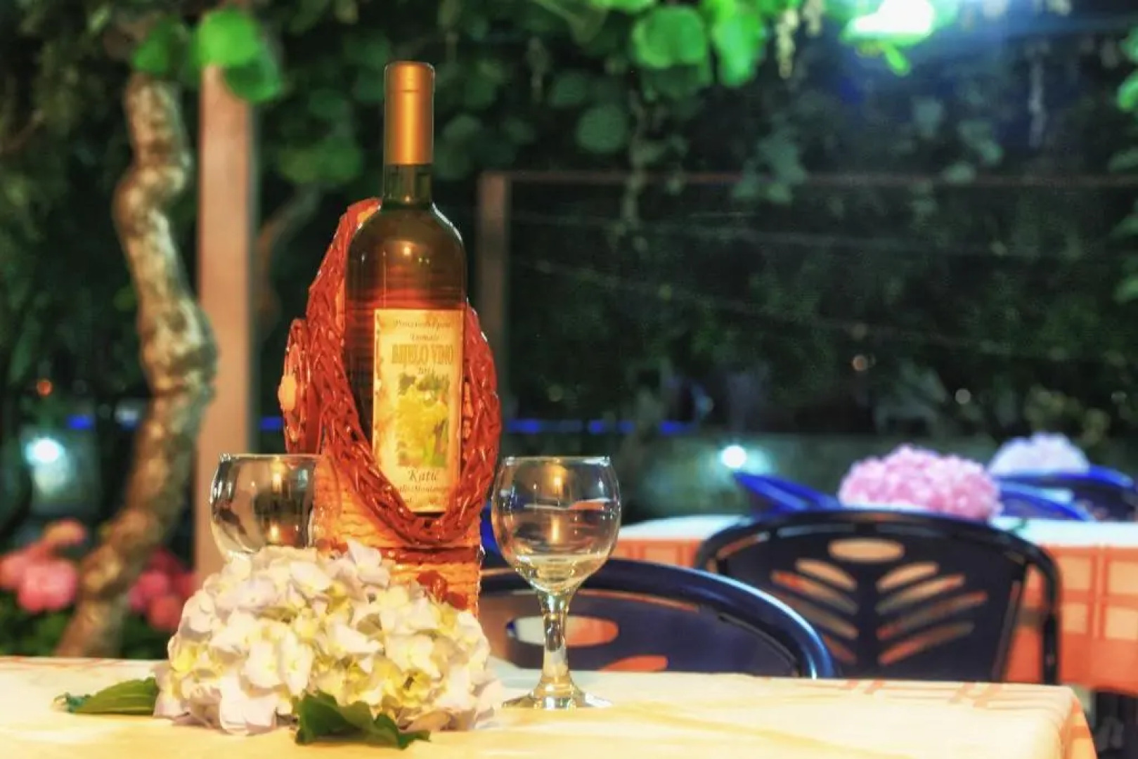 Apartments Maxi Katić