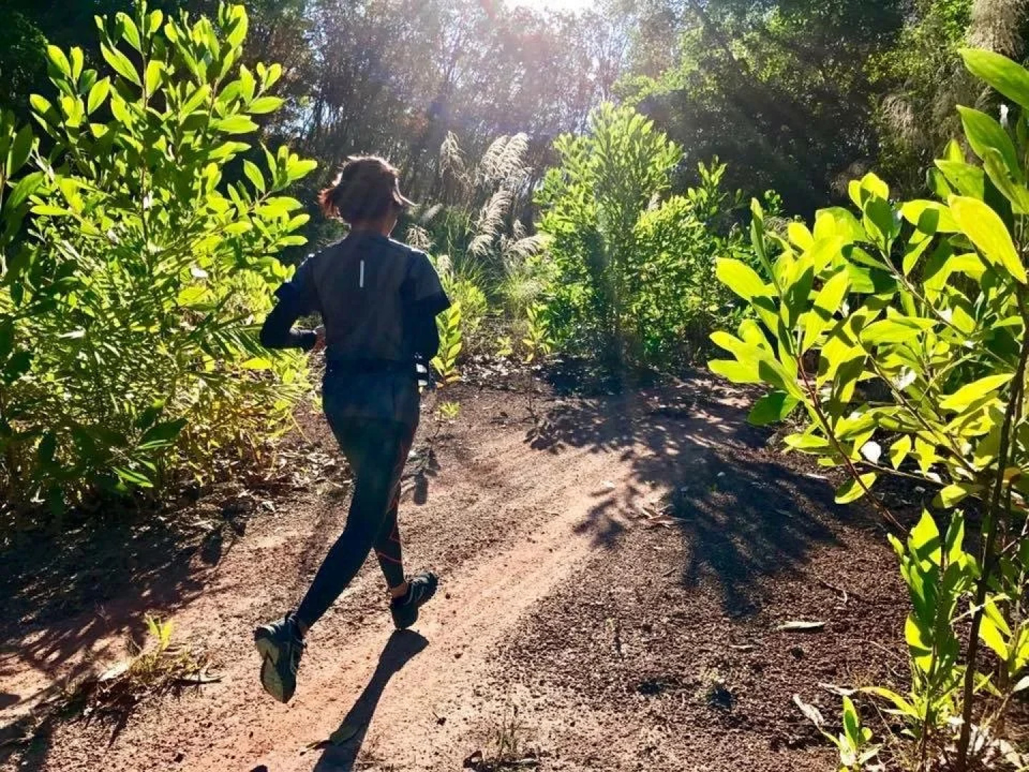 The Park Adventure Land Resort