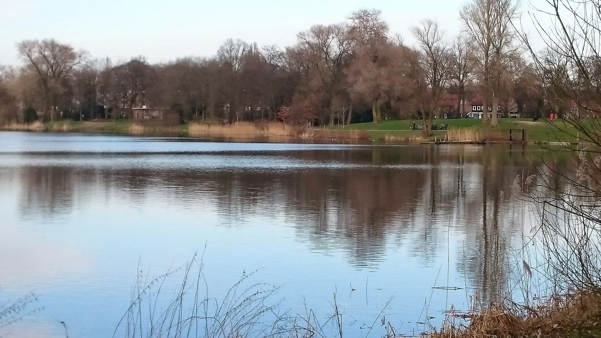 Boutique Hotel - B&B De Blauwe Pauw