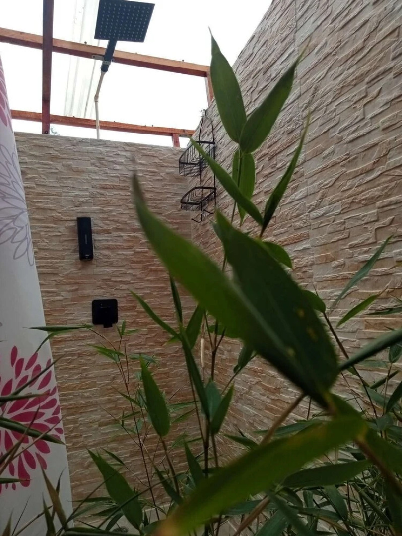 Glamping tipo safari