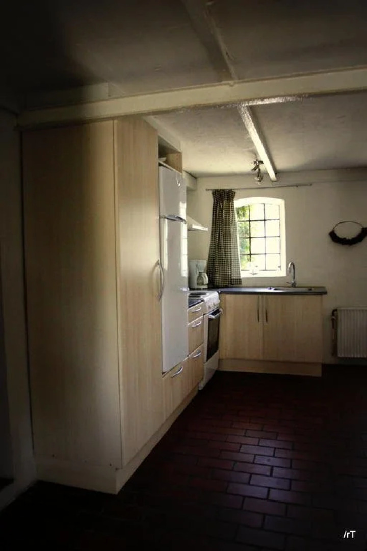 Stutteri Skandi Hest