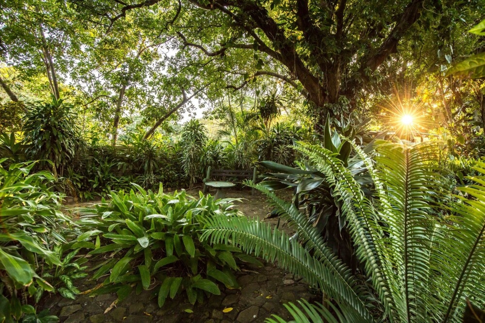 Wendys Country Lodge