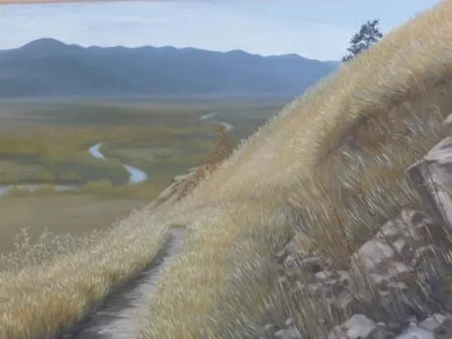 Blossom's Bed & Breakfast