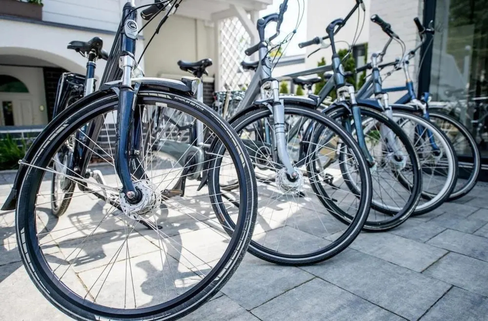 Apartamenty Stella Mare - 365 PAM