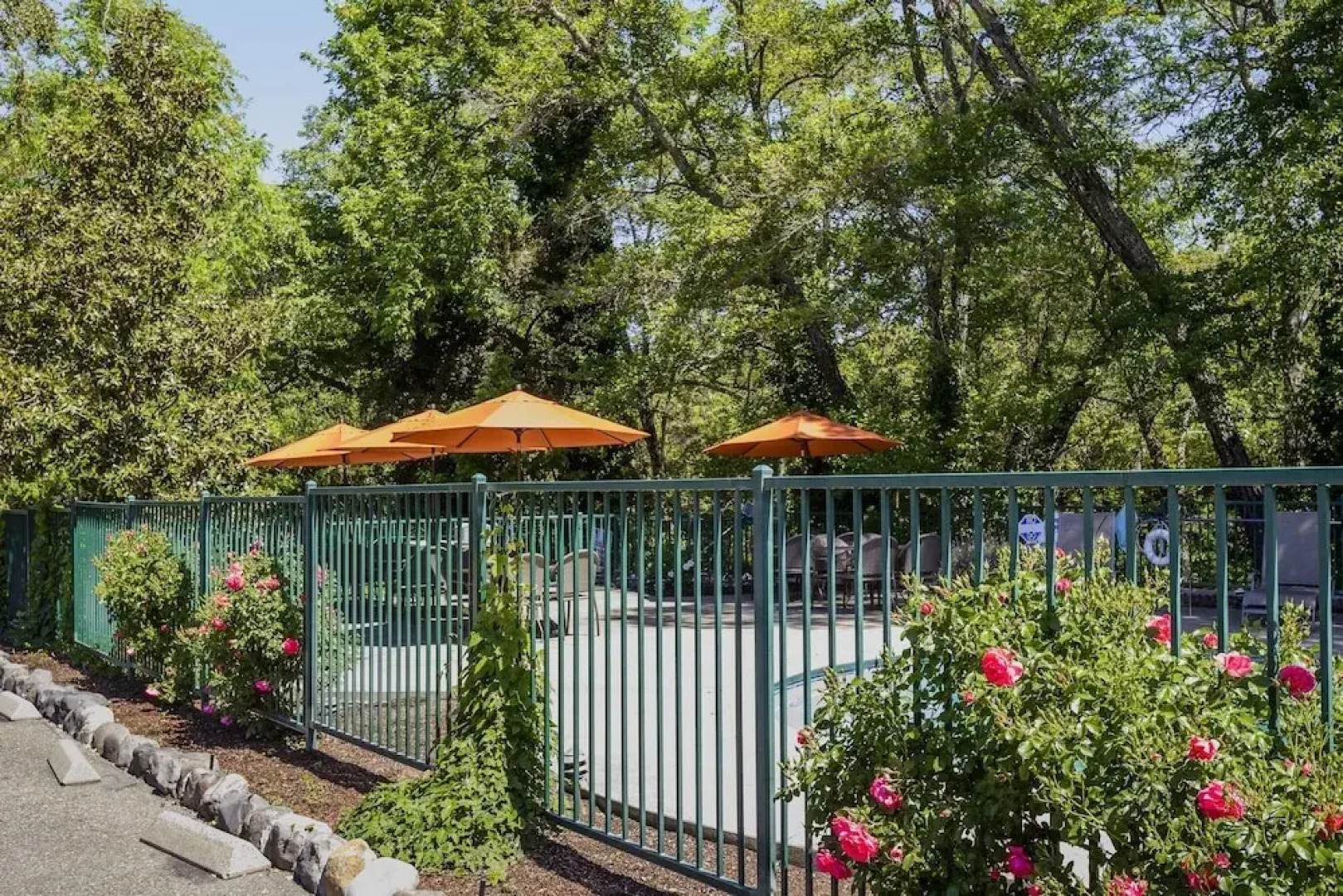 The Jack London Lodge