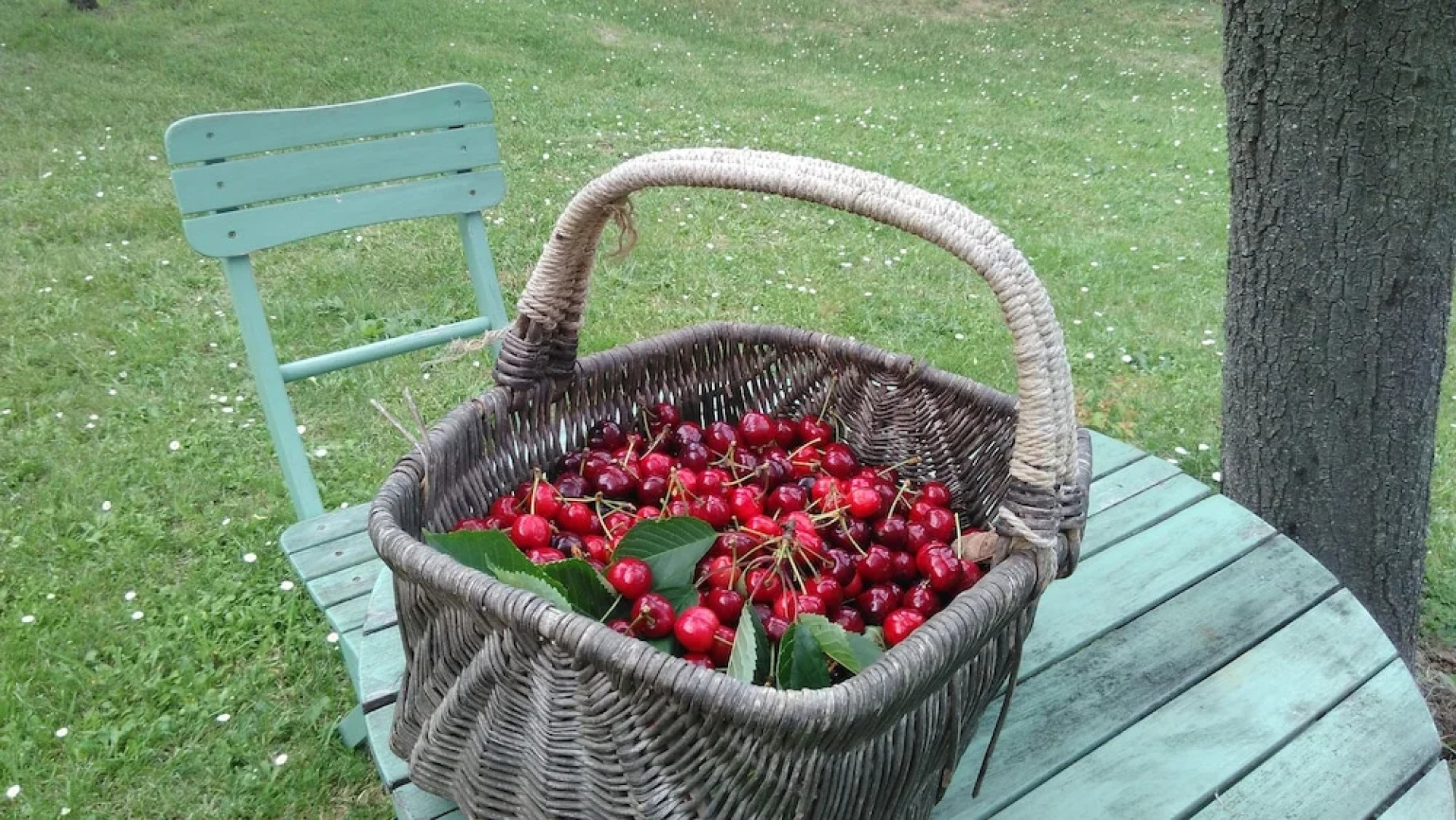 Le Champ Des Etoiles