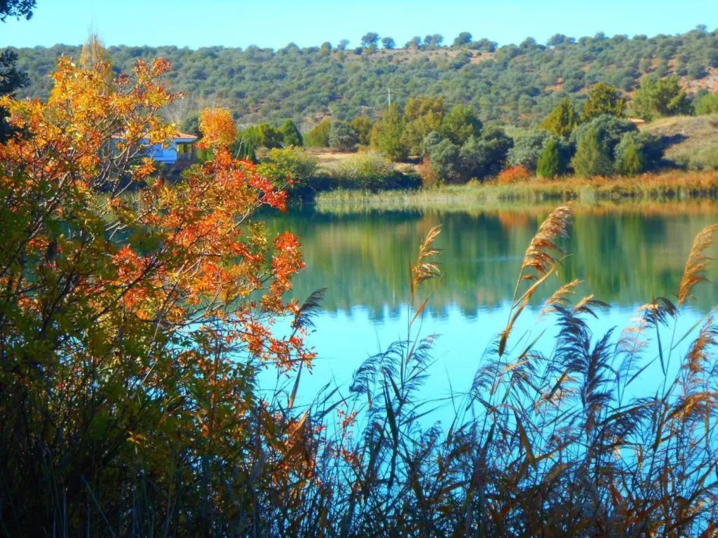 Casas Rurales Lagunas de Ruidera II