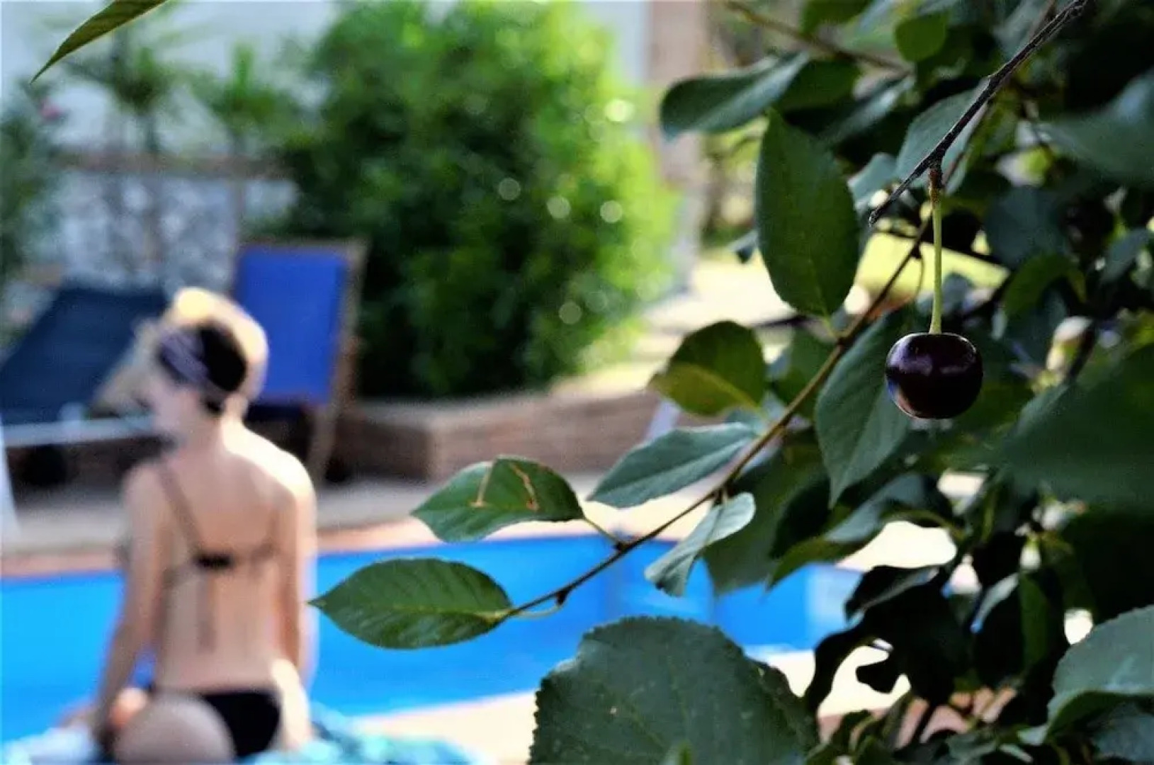 Residence Cassiodoro