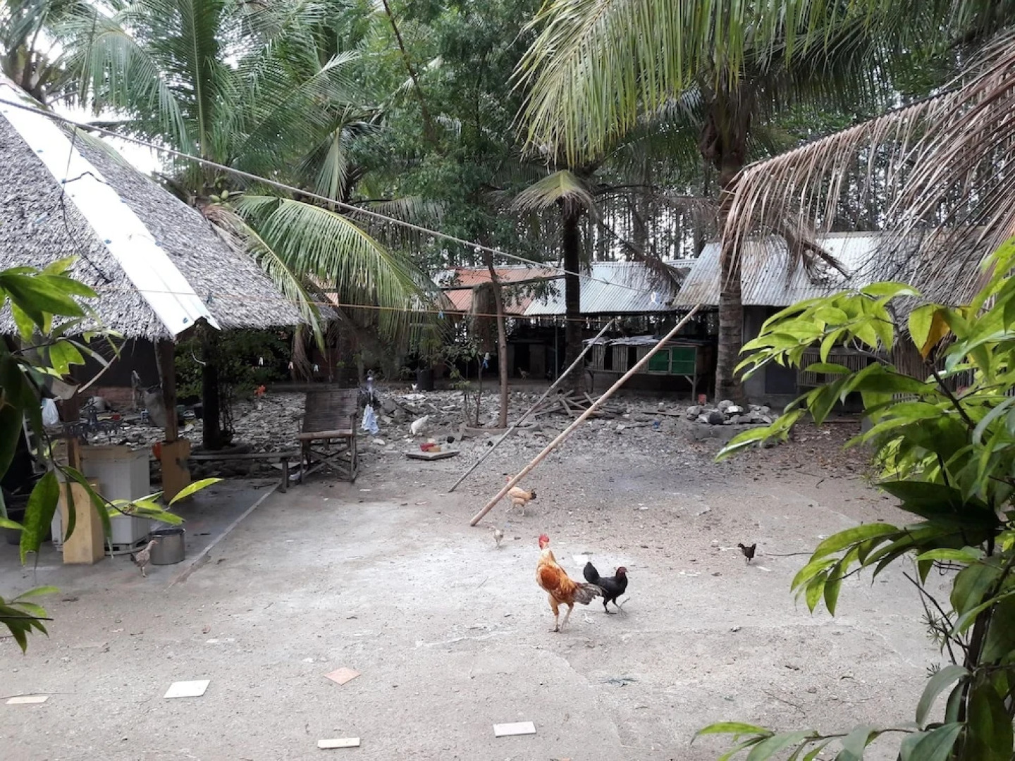 Guimaras Mangrove Guesthouse