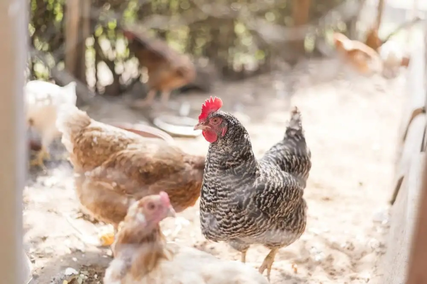 Gasthaus Pension Hofmann