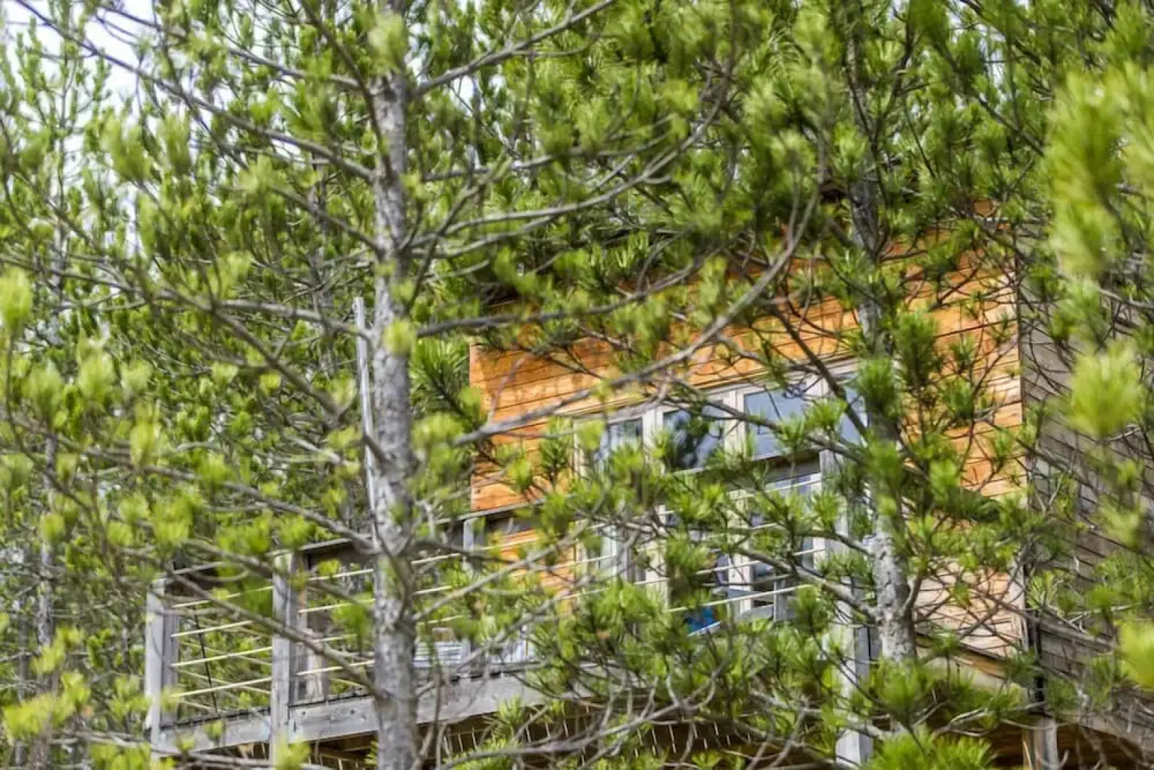 Terre des Baronnies. Cabanes