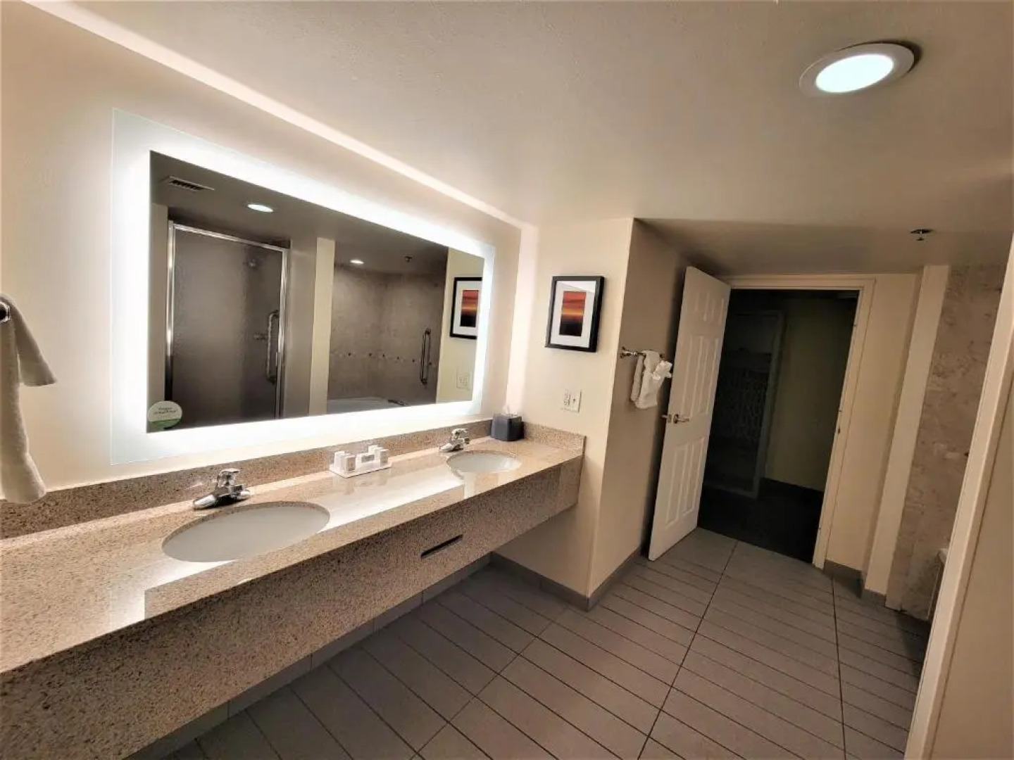 Holiday Inn & Suites Ann Arbor Univ Michigan Area by IHG