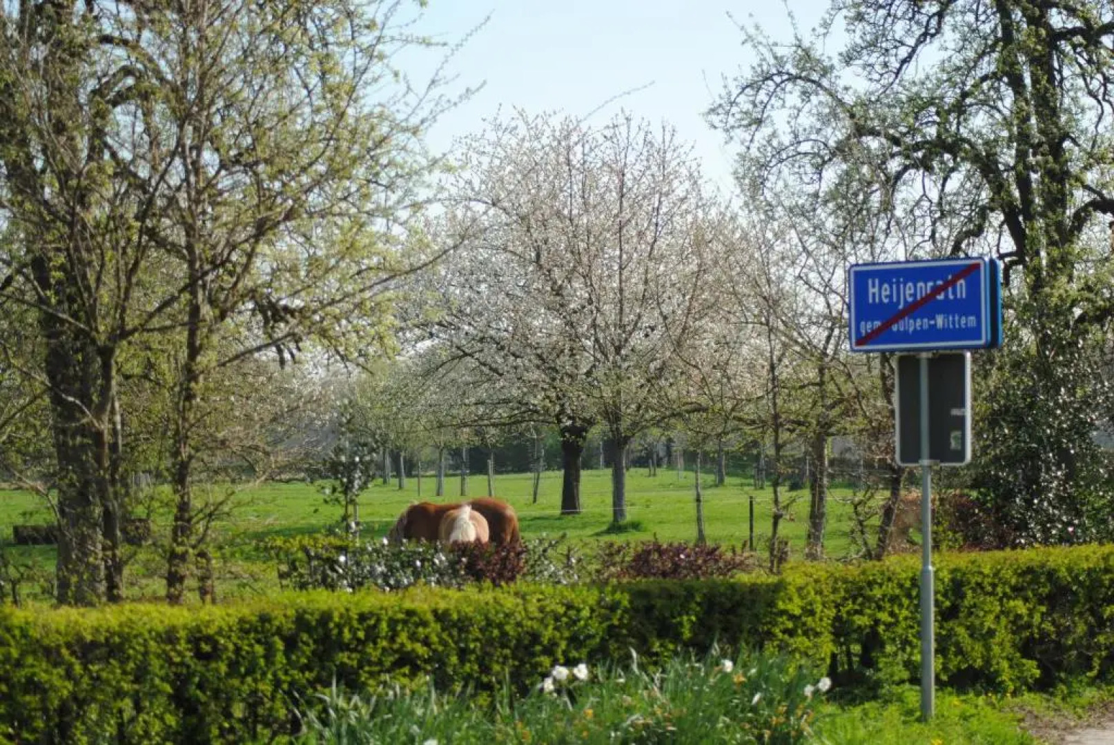 Appartementen De Zegelskoël