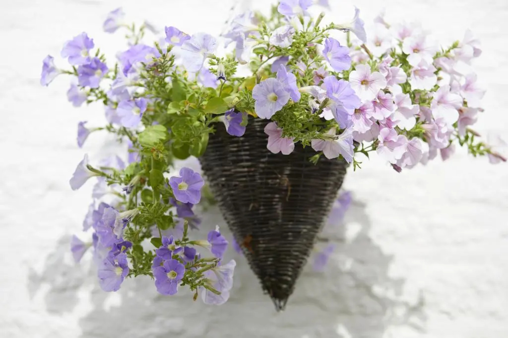 The Wheatsheaf Combe Hay