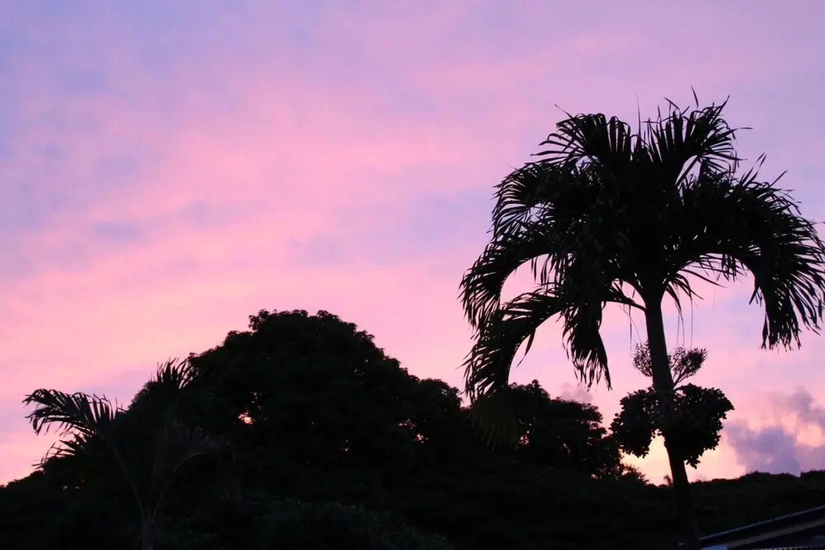 Sweet Spot Stay - Tikis and Treetops