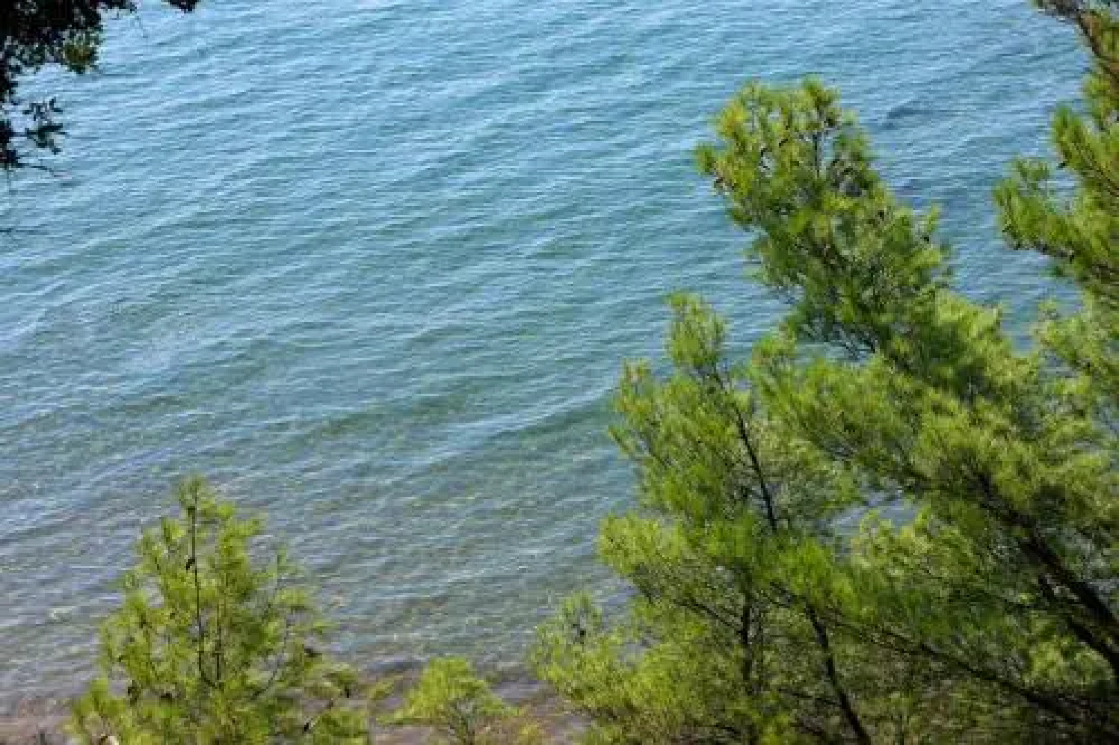 Squirrel Beach Front Villa, Metamorfosi