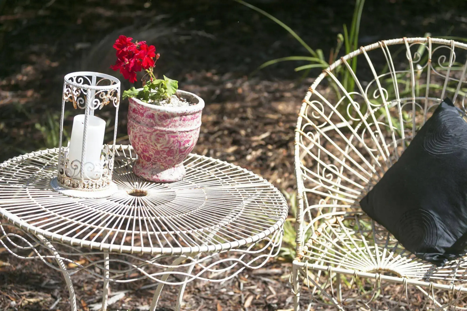 Springhill House on Pardalote