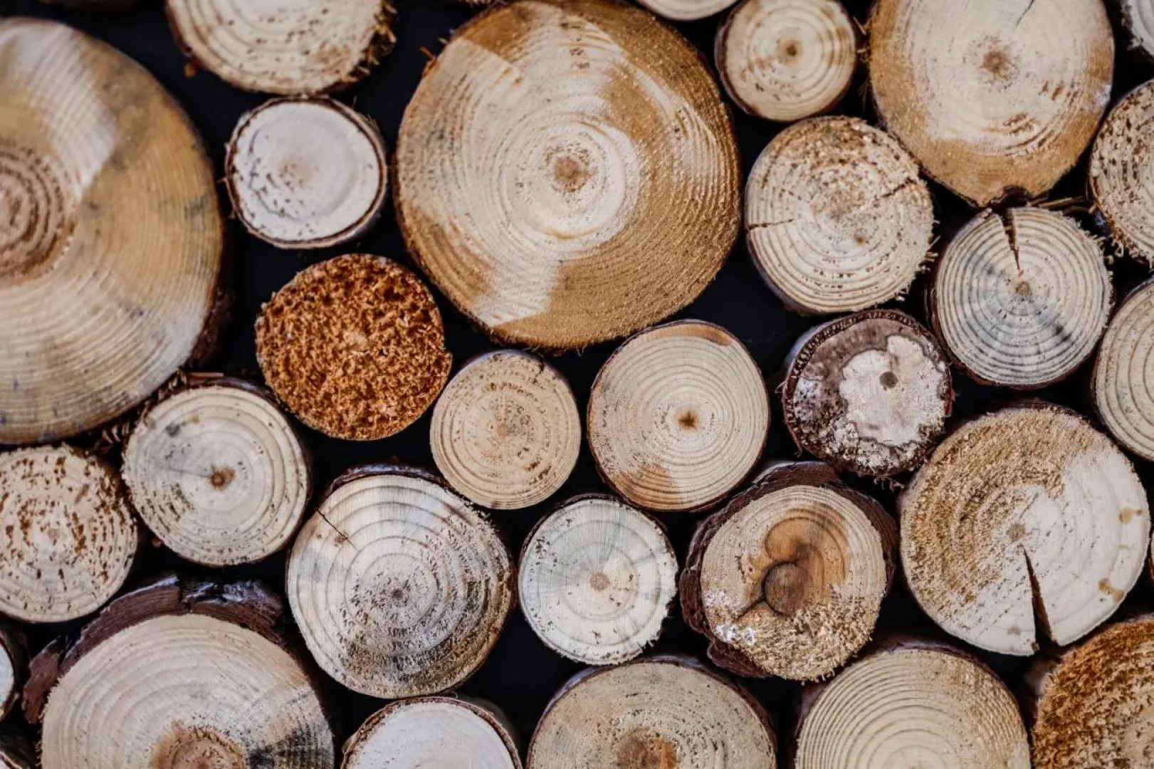 Sleephotels Alsterroom