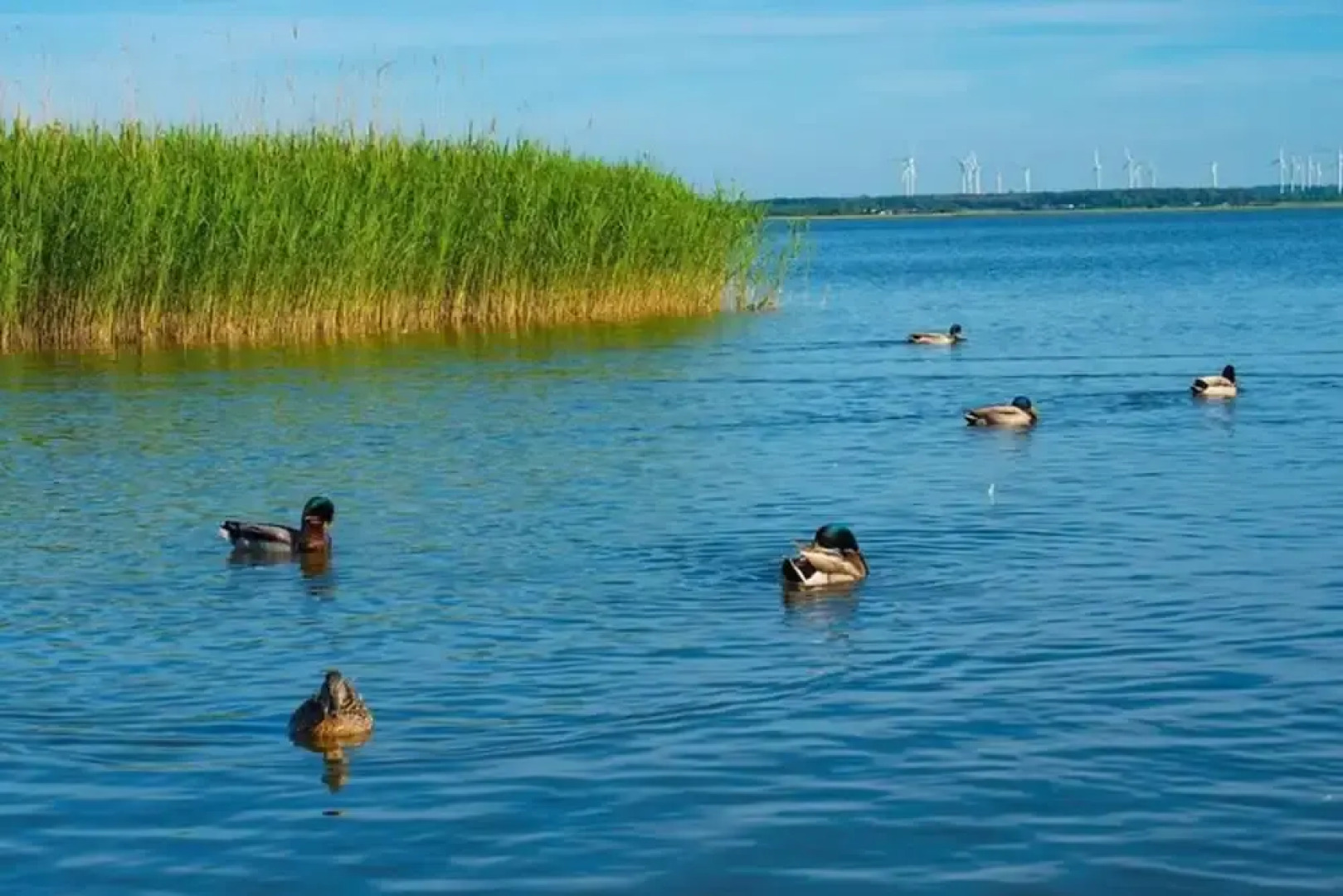 Large Holiday House With Terrace, Bobolin