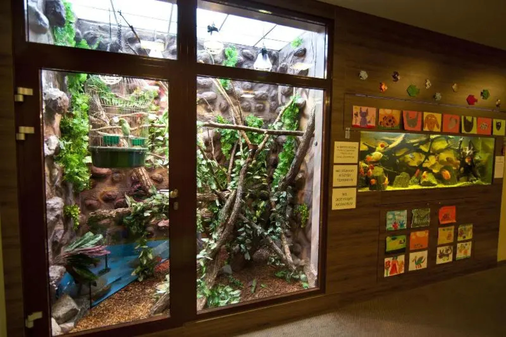 Imperiall Resort & MediSpa - Cottage