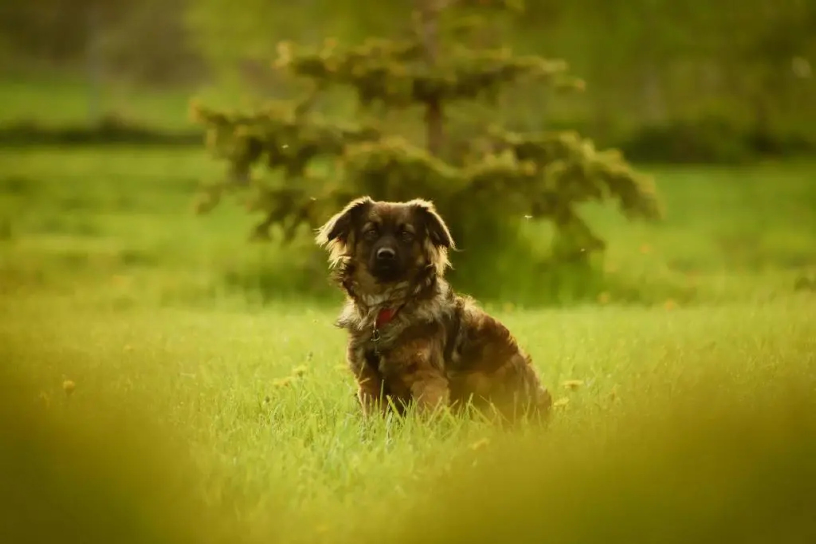 Cardinal Palace Centrum Konferencyjno-Wypoczynkowe